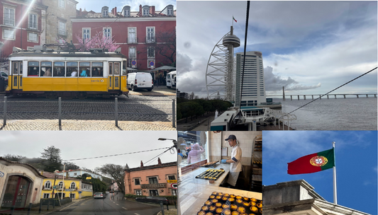 🇵🇹 Portugal Travel Tips – Quick Guide